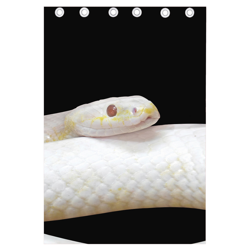 Albino Snake Print Curtain
