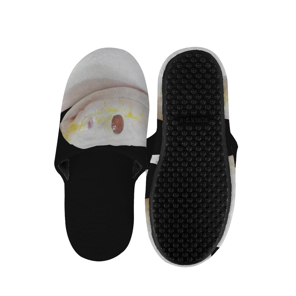 Albino Snake Print Slippers