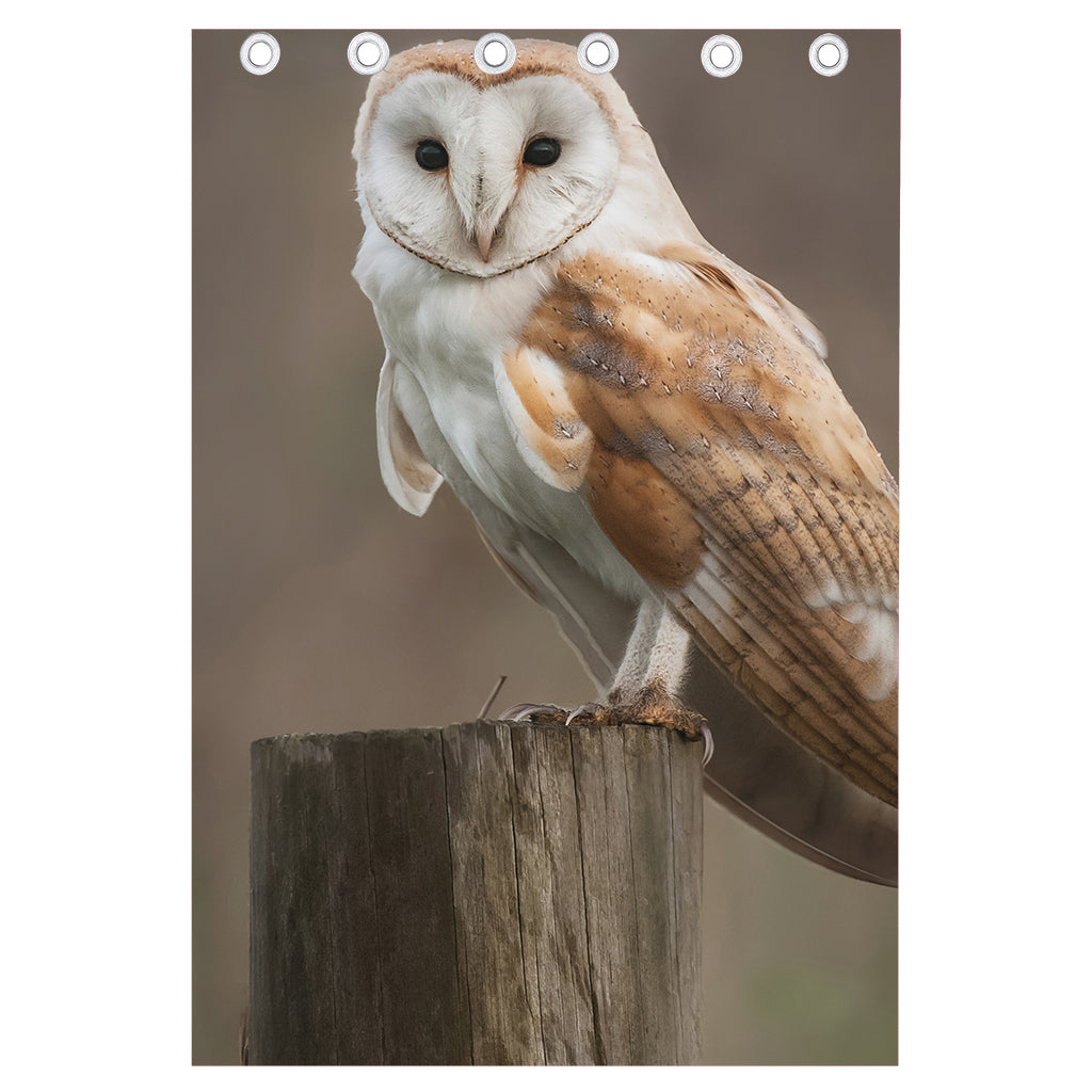 Barn Owl Print Curtain