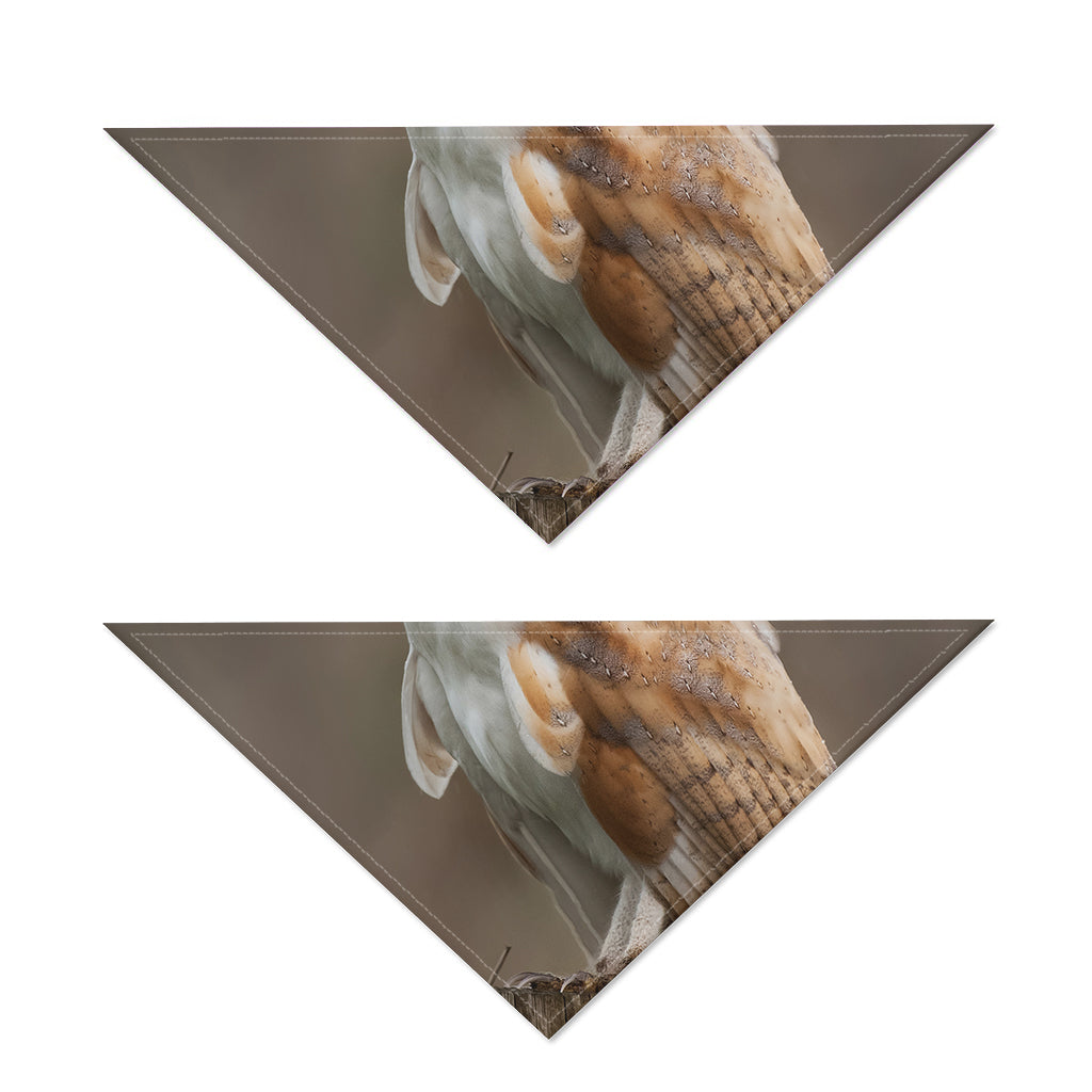 Barn Owl Print Dog Bandana
