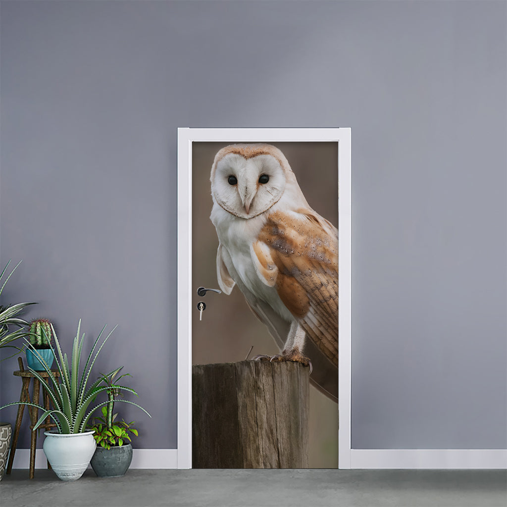 Barn Owl Print Door Sticker