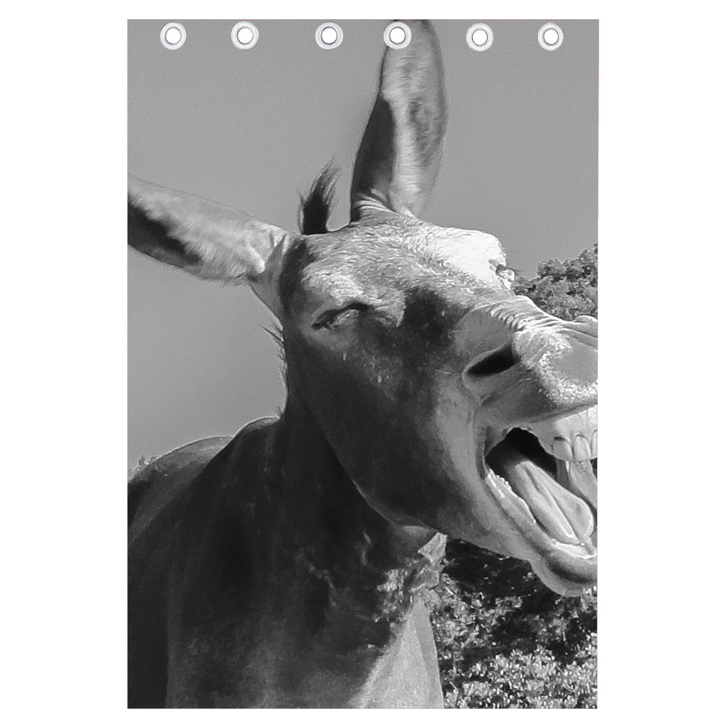Black And White Funny Donkey Print Curtain