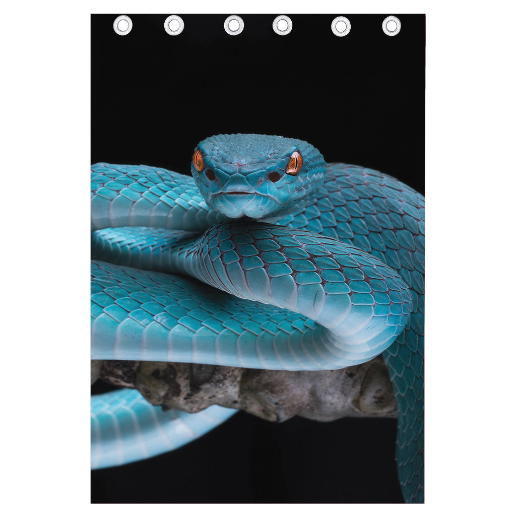 Blue Pit Viper Snake Print Curtain