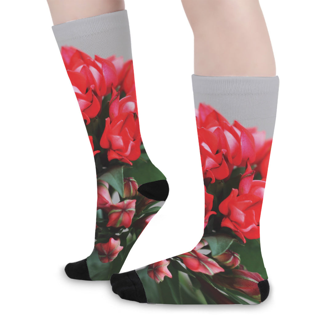 Bouvardia Flower Print Long Socks