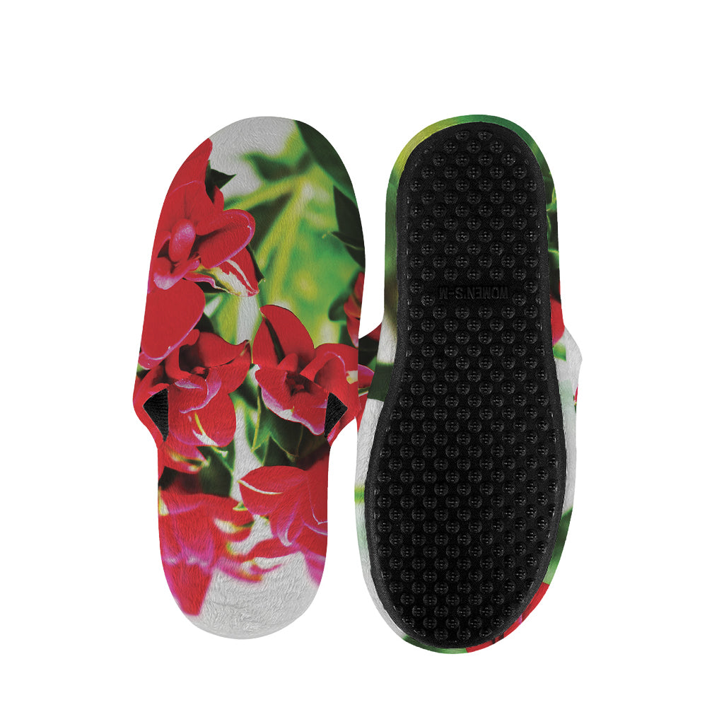 Bouvardia Plant Print Slippers