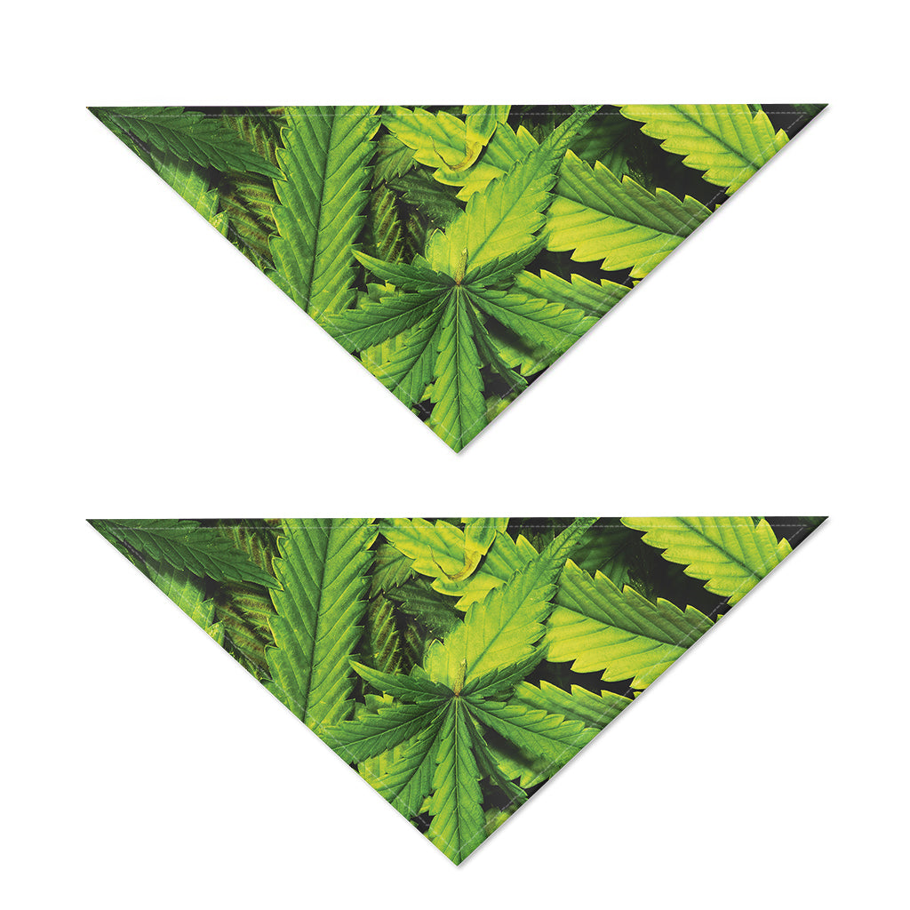 Cannabis Print Dog Bandana