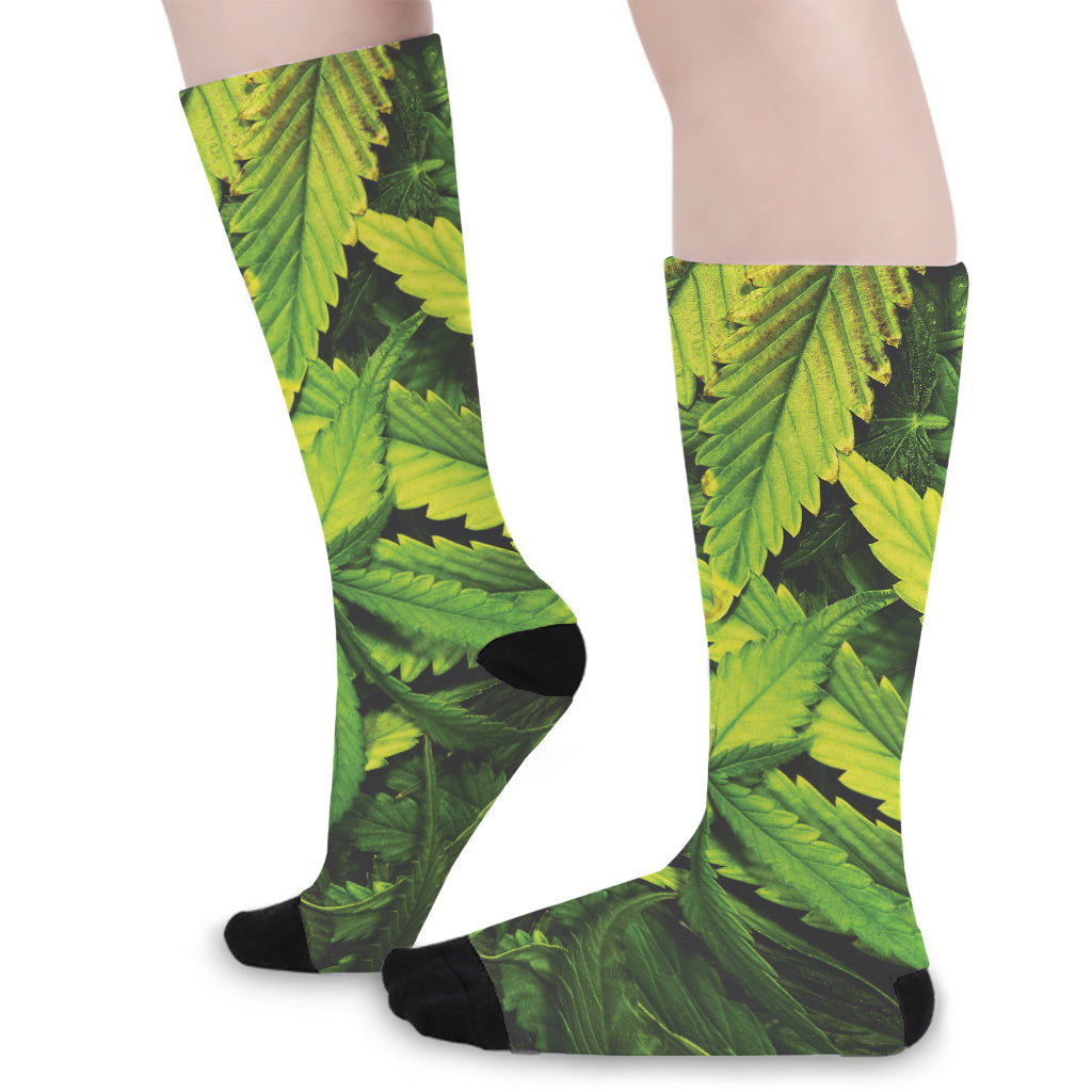 Cannabis Print Long Socks