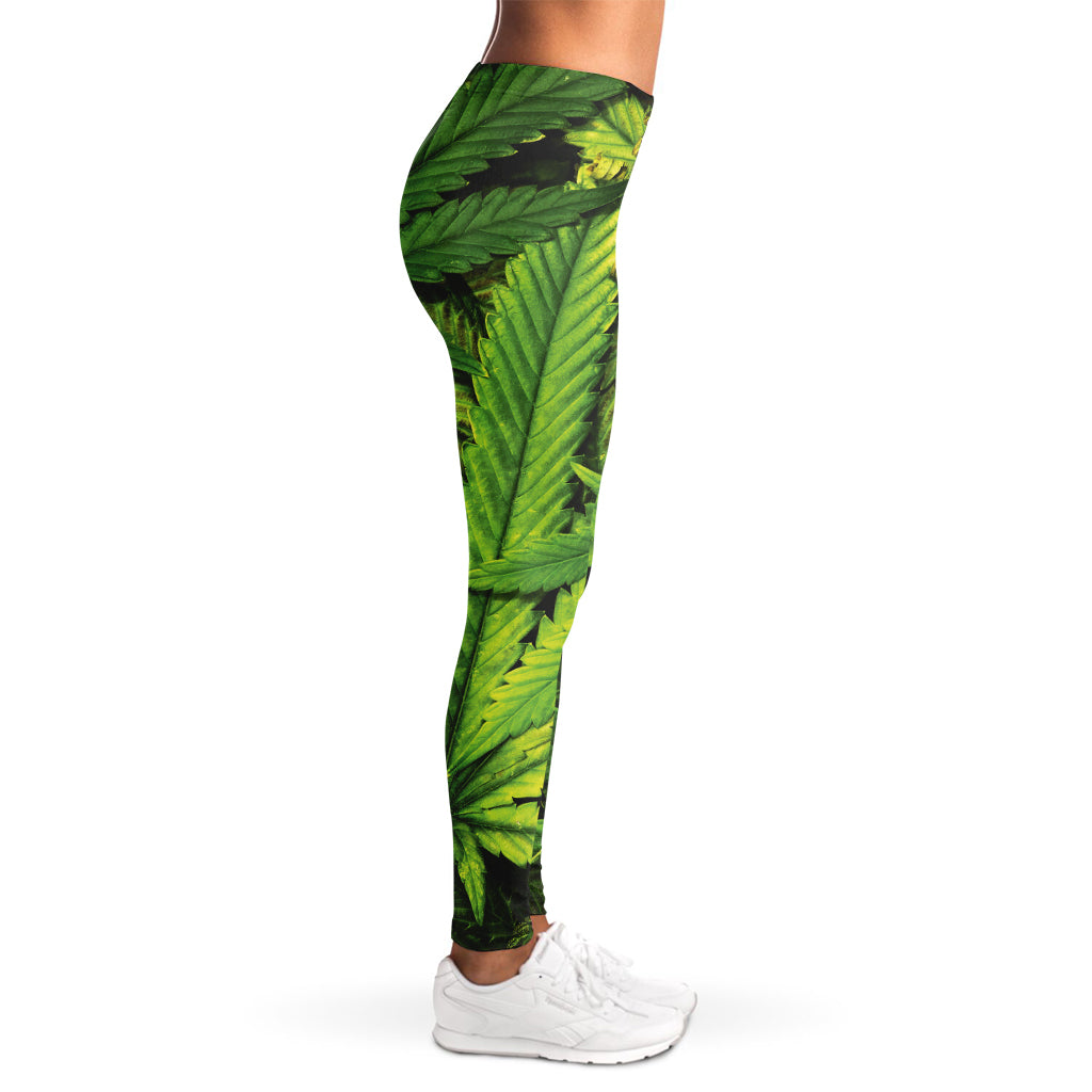 Cannabis Print Women's Leggings
