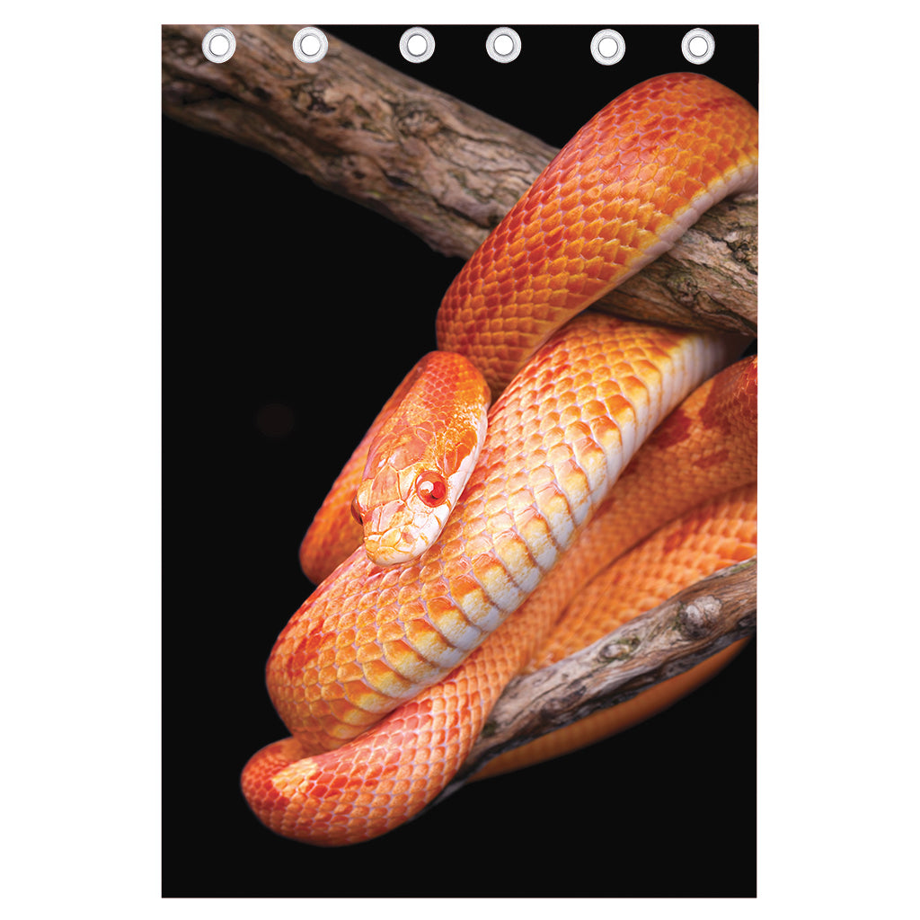 Corn Snake Print Curtain