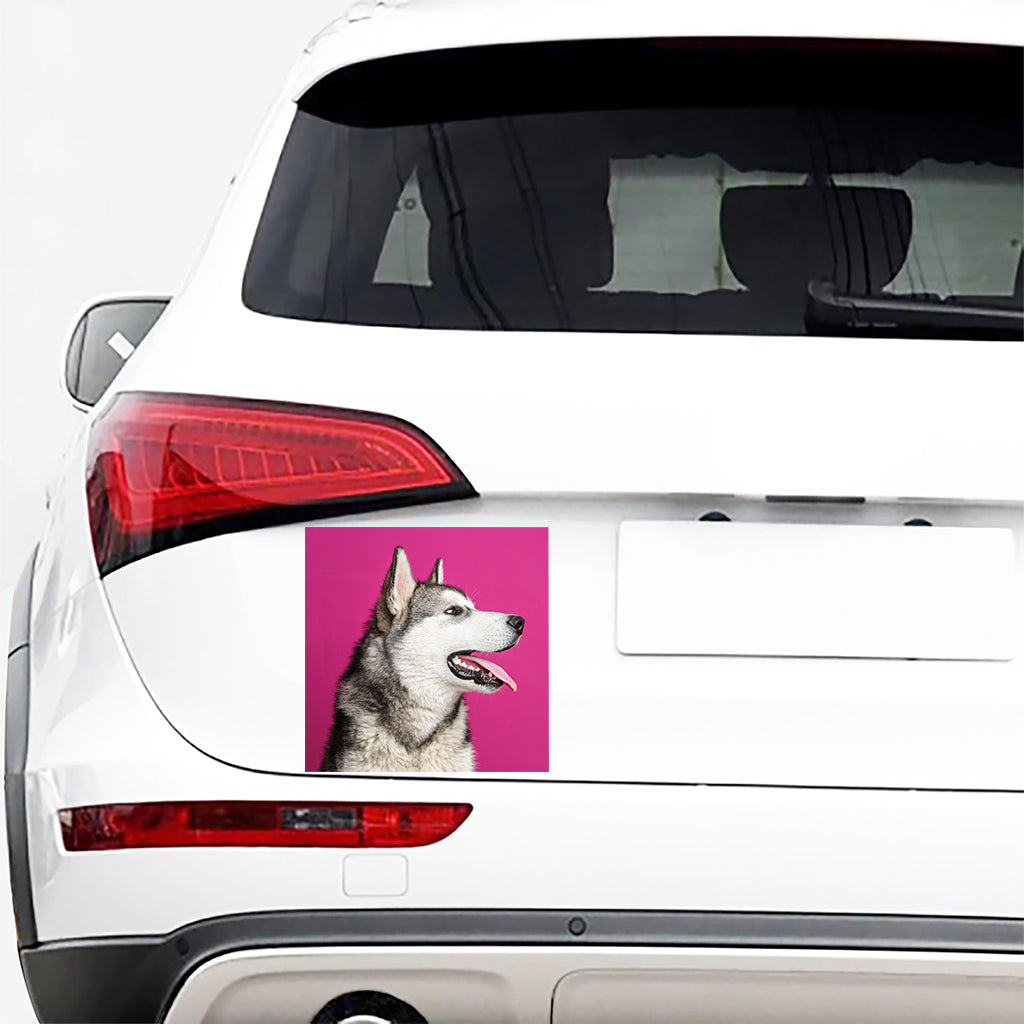 Cute Alaskan Malamute Print Car Sticker