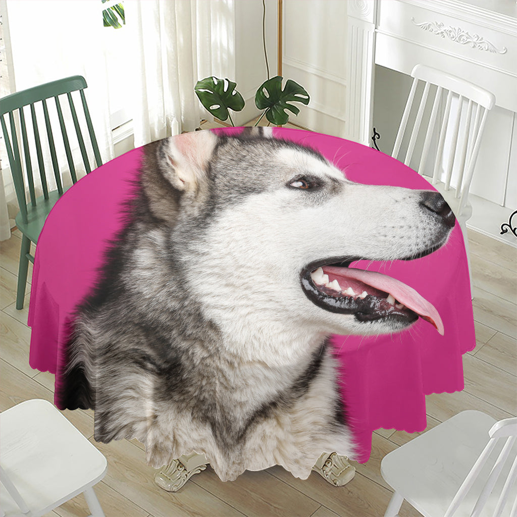Cute Alaskan Malamute Print Waterproof Round Tablecloth