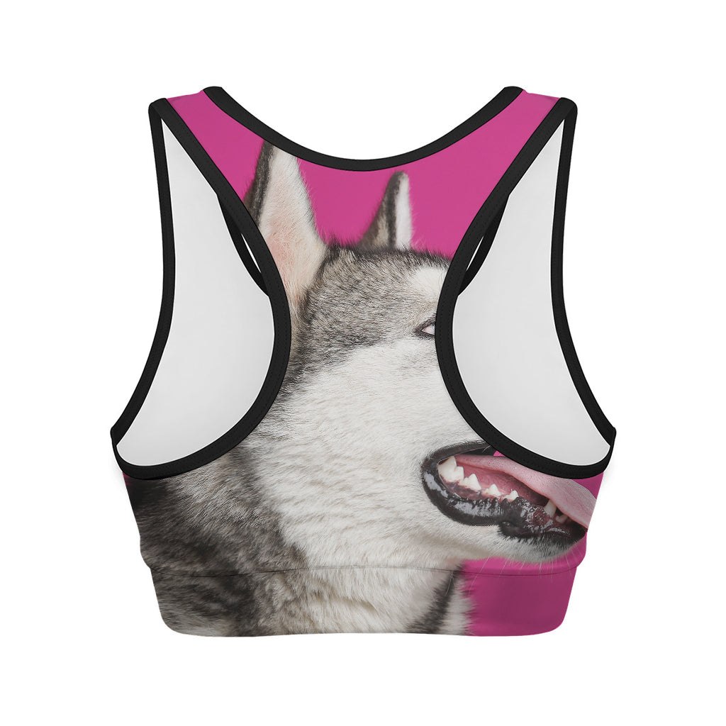Cute Alaskan Malamute Print Women's Sports Bra