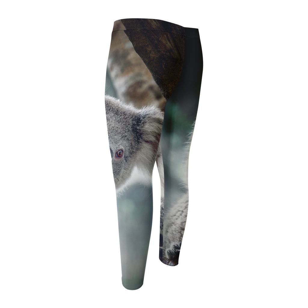 Cute Koala Print Men's Compression Pants