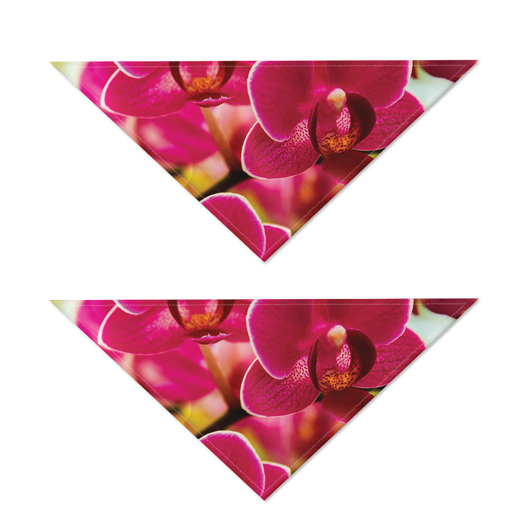 Cute Orchid Print Dog Bandana