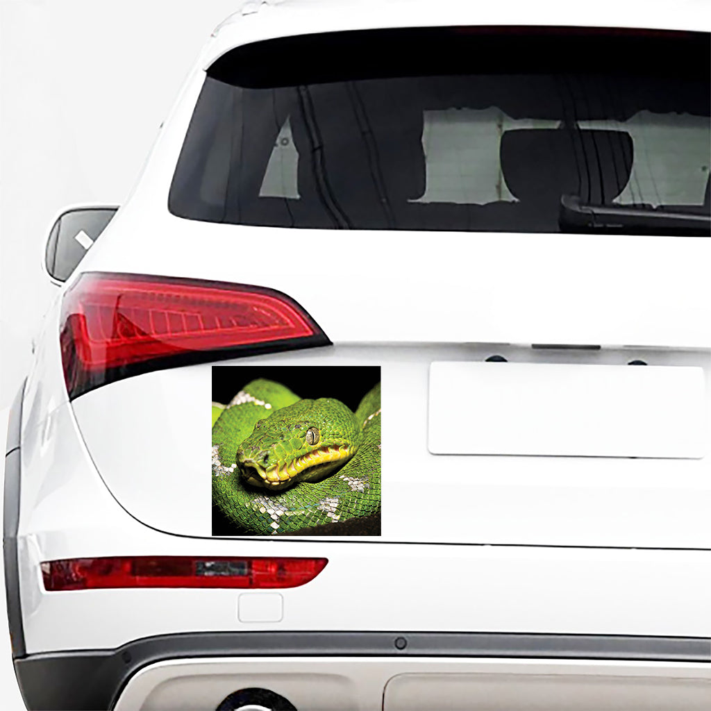 Emerald Tree Boa Snake Print Car Sticker