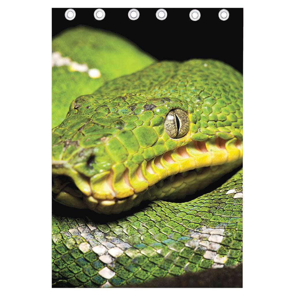 Emerald Tree Boa Snake Print Curtain