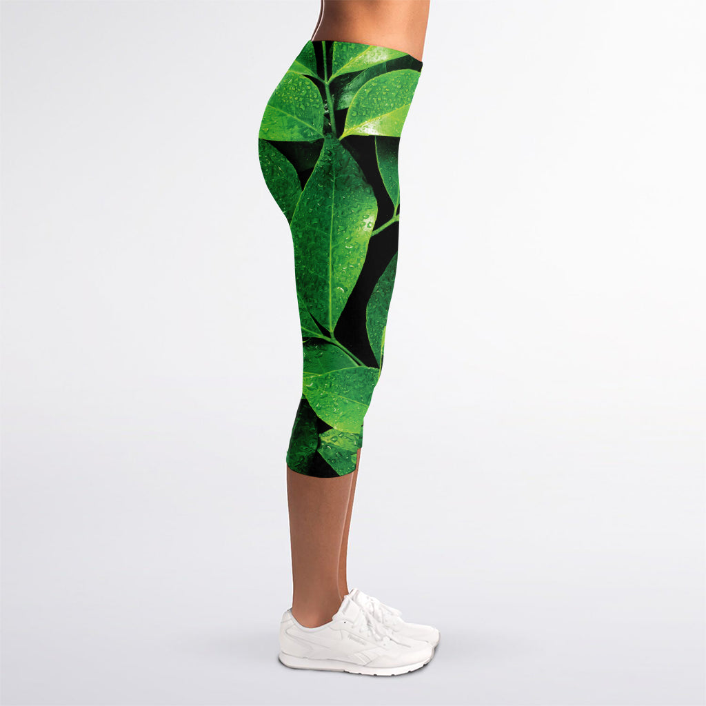 Fresh Green Leaf Print Women's Capri Leggings