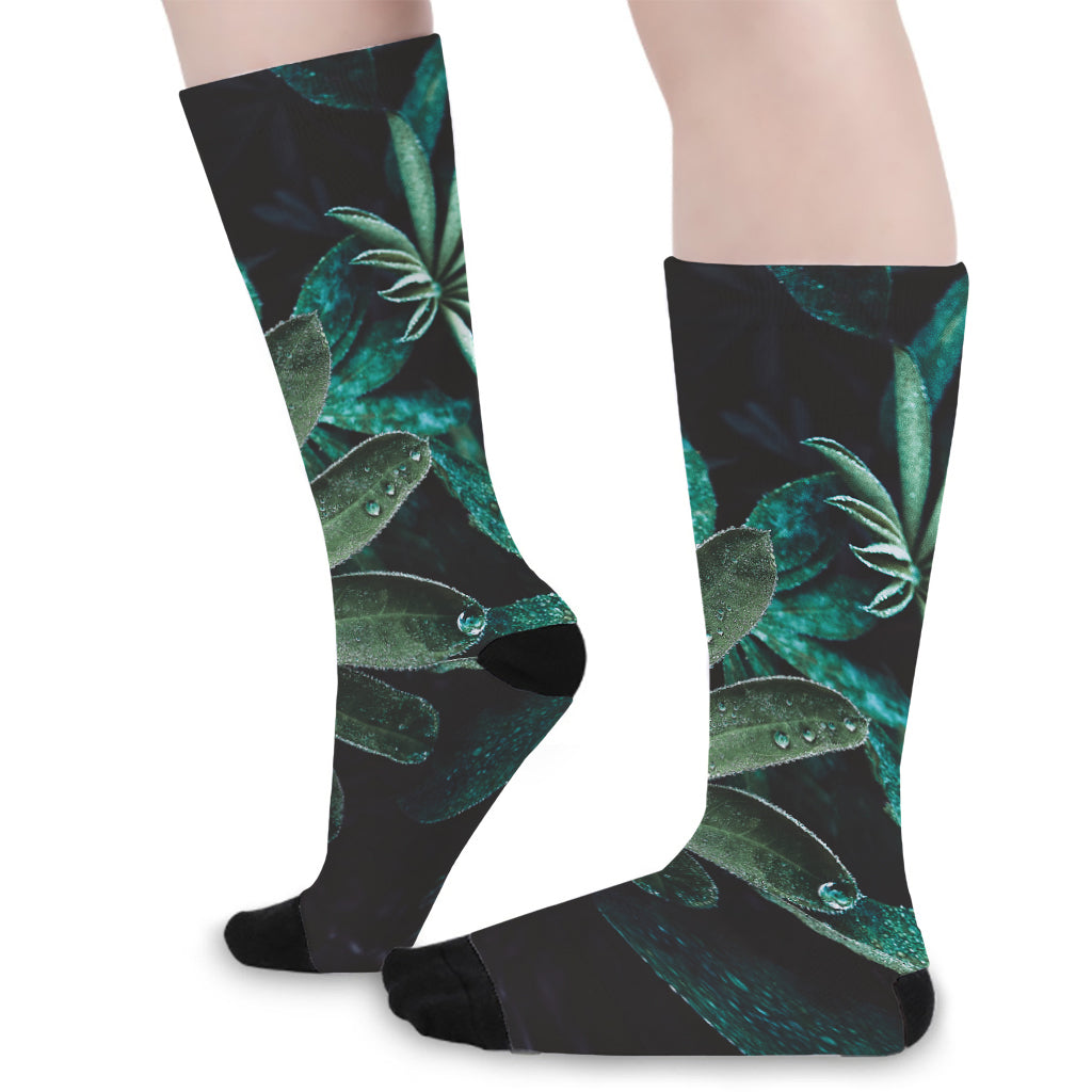 Fresh Tropical Leaf Print Long Socks