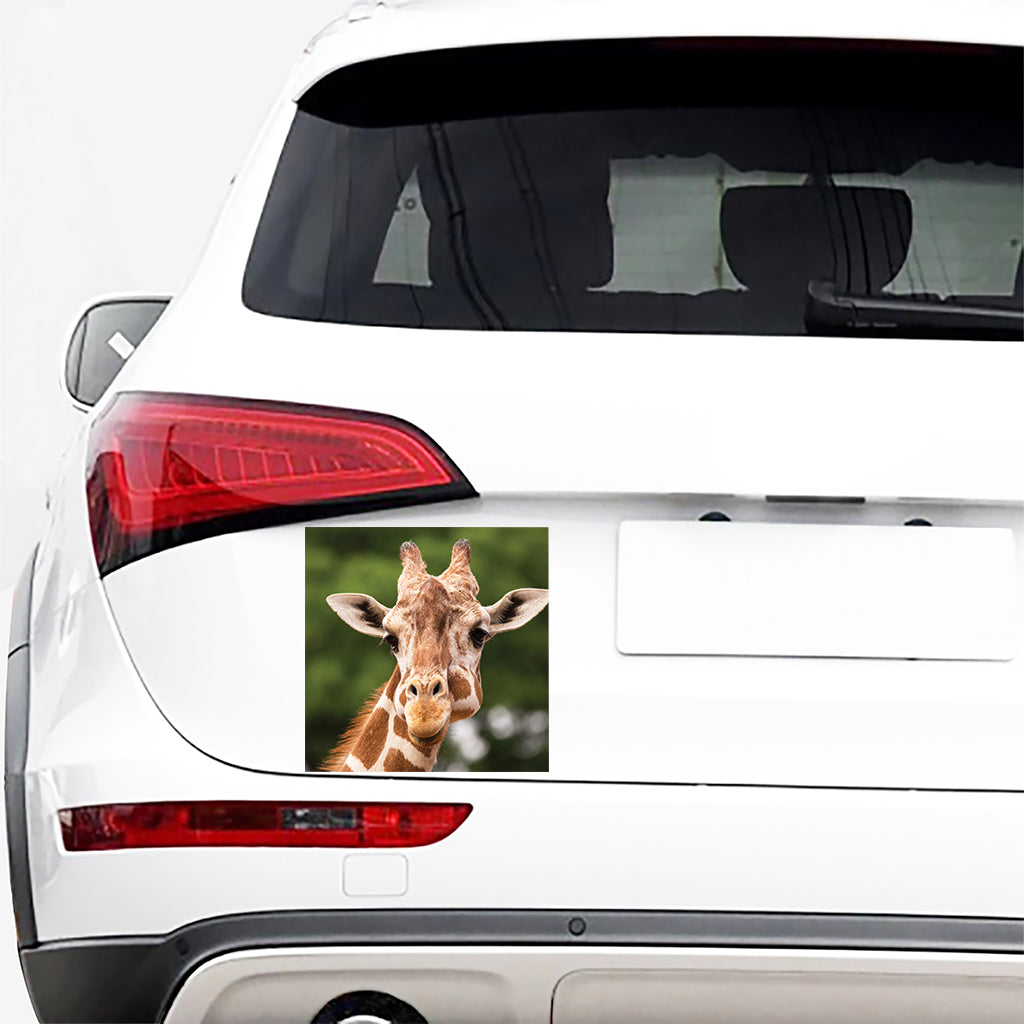 Funny Giraffe Print Car Sticker