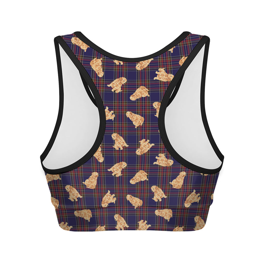 Golden Retriever Tartan Pattern Print Women's Sports Bra