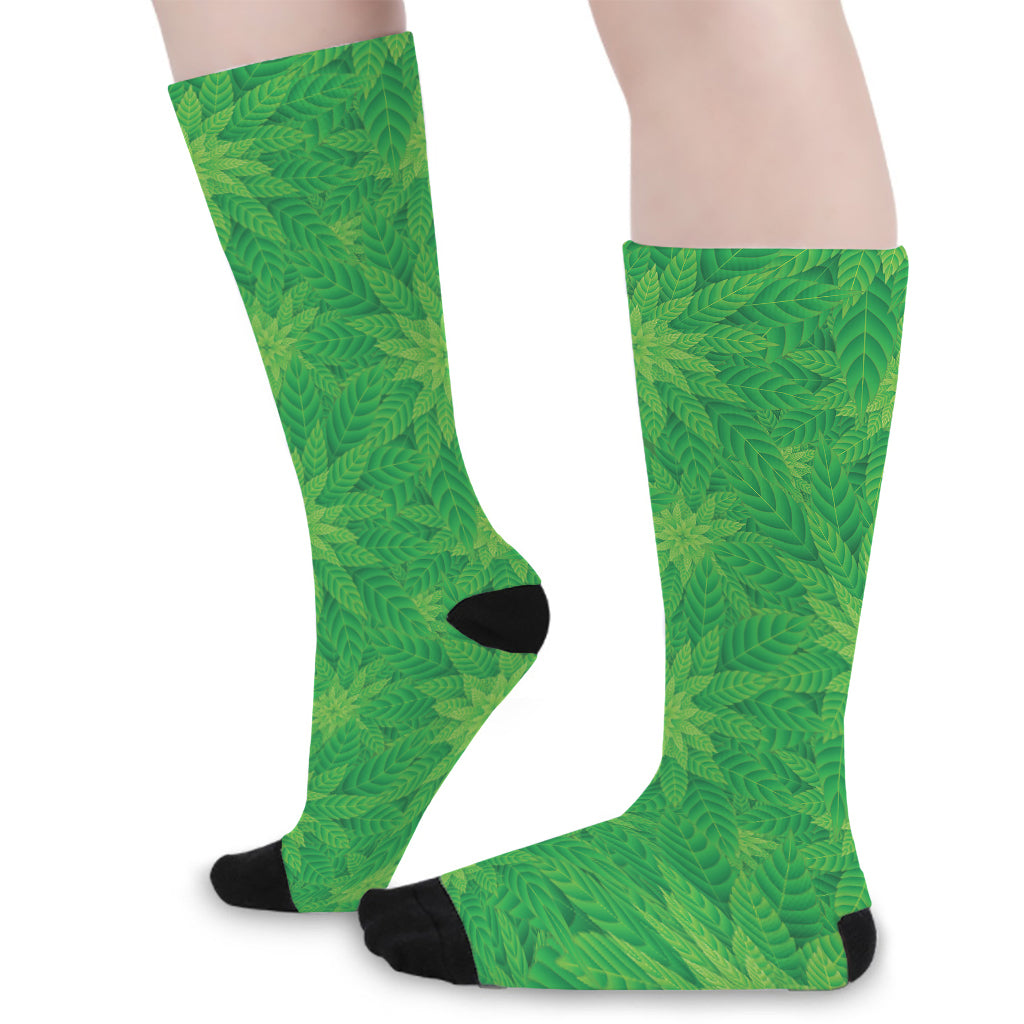 Green Cannabis Leaf Pattern Print Long Socks