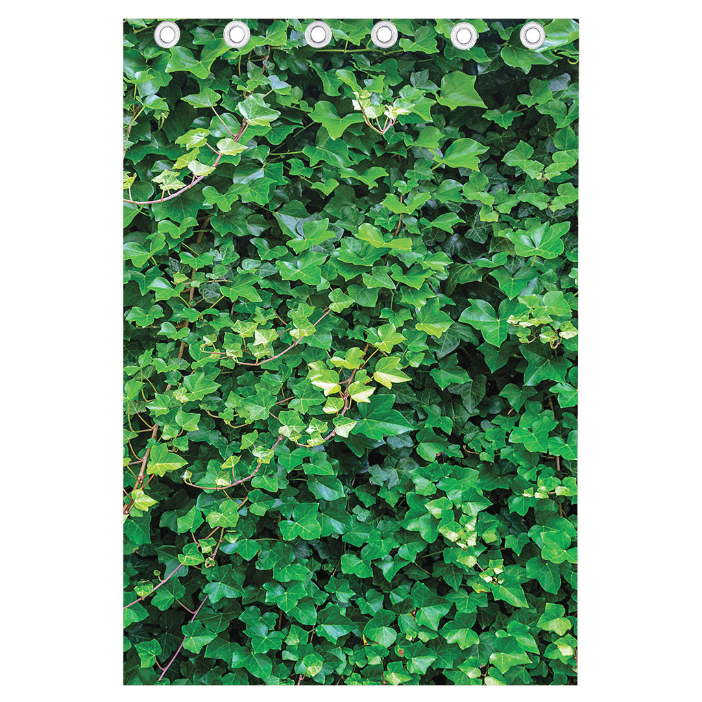 Green Ivy Wall Print Curtain