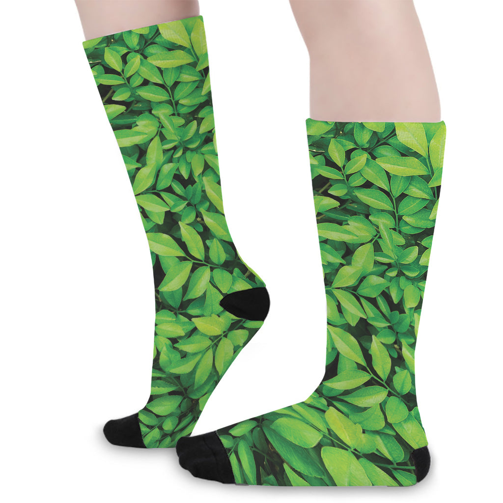 Green Leaf Print Long Socks