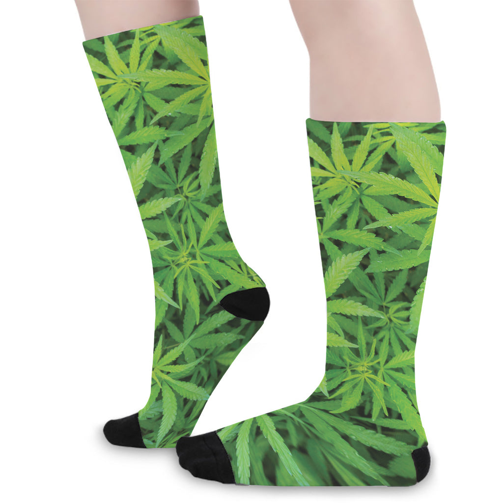 Green Pot Leaf Print Long Socks