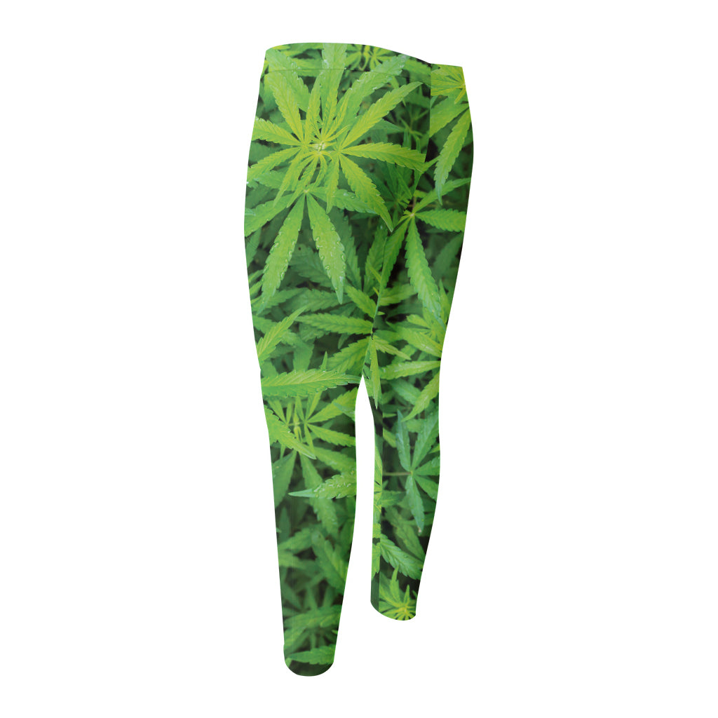 Green Pot Leaf Print Men's Compression Pants