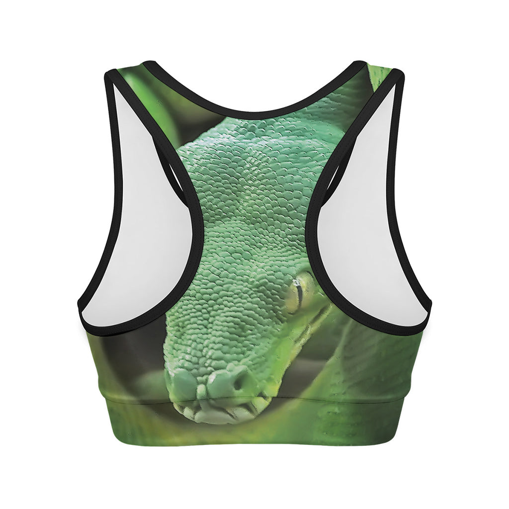 Green Reticulated Python Snake Print Women's Sports Bra