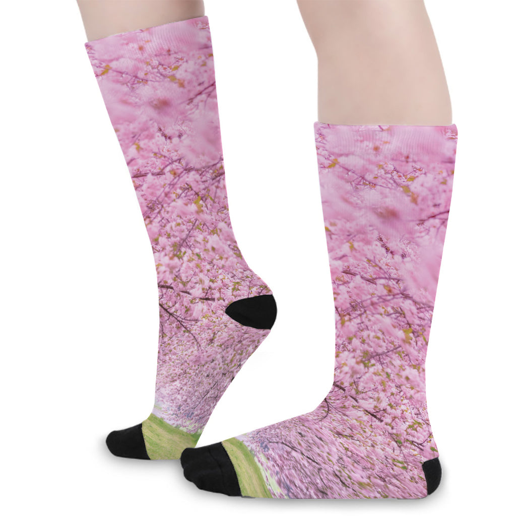 Japanese Cherry Blossom Tree Print Long Socks