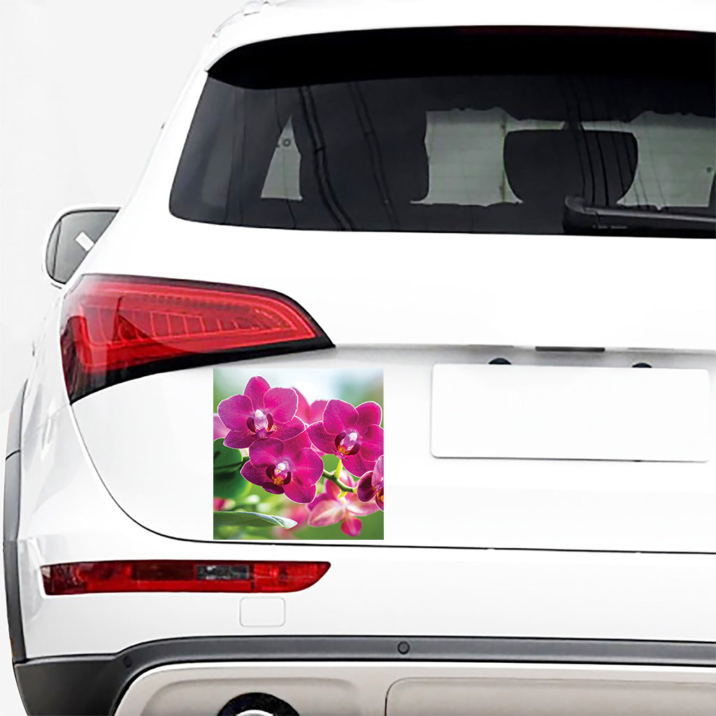 Magenta Orchid Flower Print Car Sticker