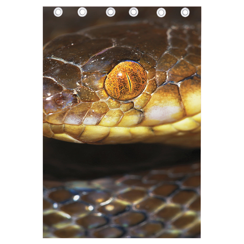 Malagasy Cat Eyed Snake Print Curtain