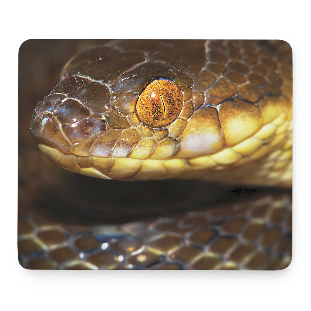 Malagasy Cat Eyed Snake Print Mouse Pad