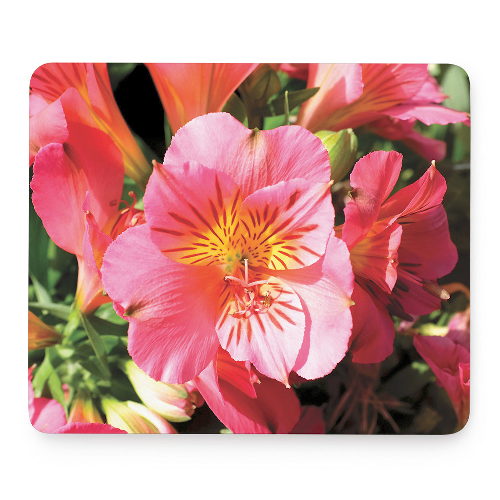 Pink Alstroemeria Print Mouse Pad