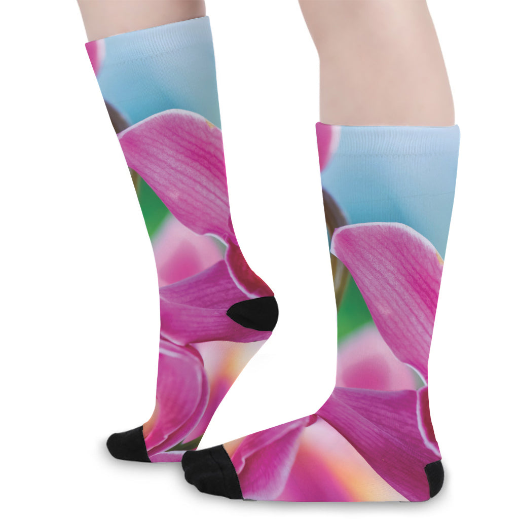 Pink Orchid Flower Print Long Socks