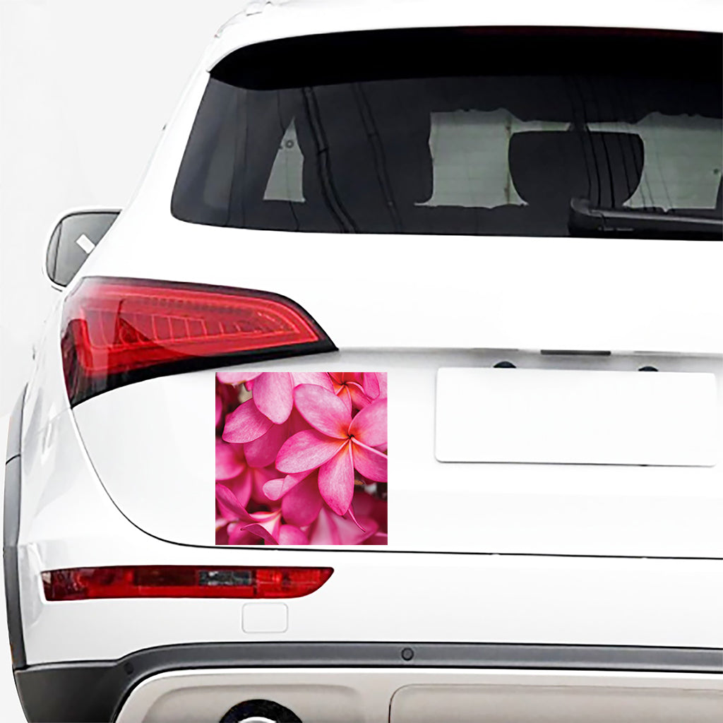 Pink Plumeria Flower Print Car Sticker