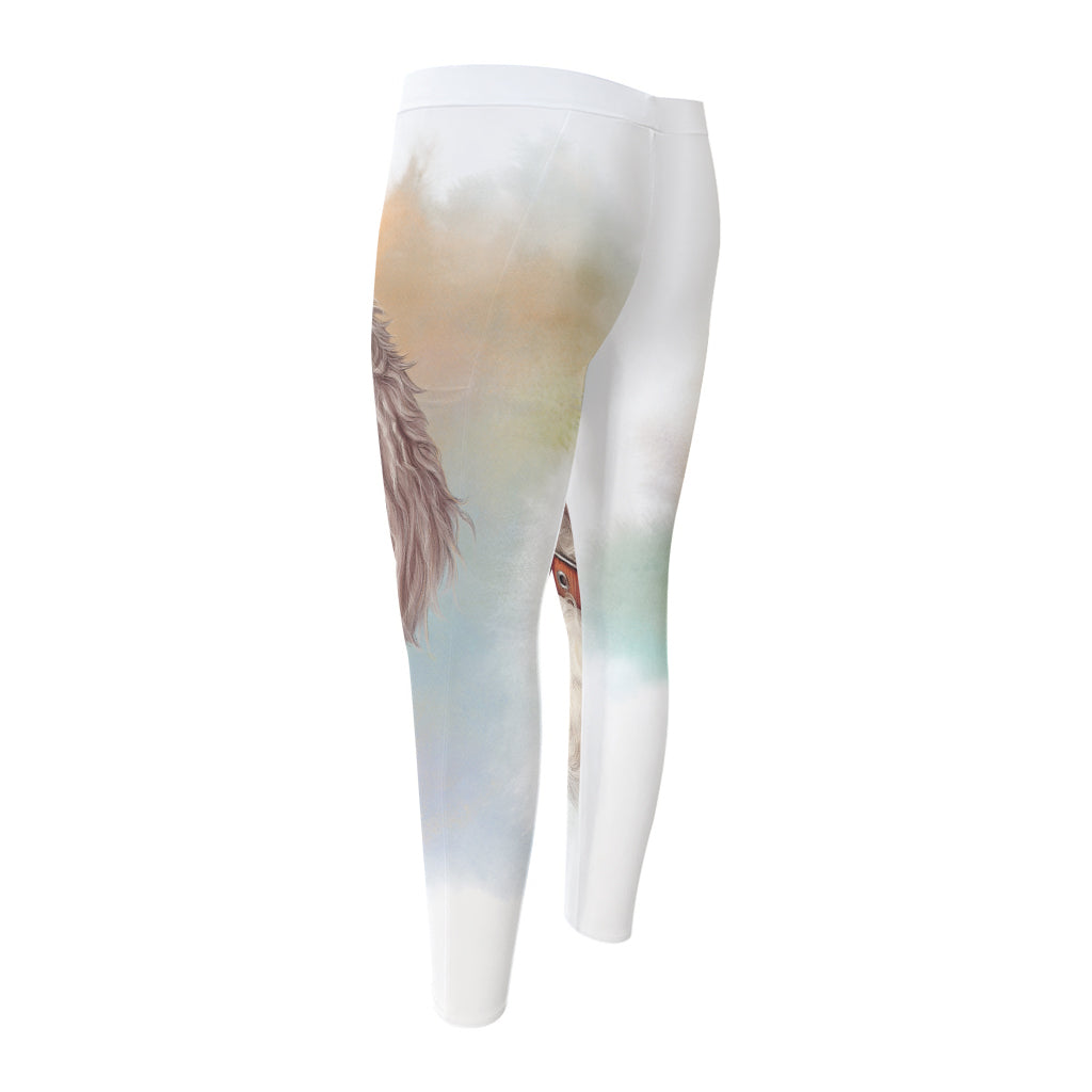 Poodle Portrait Print Men's Compression Pants