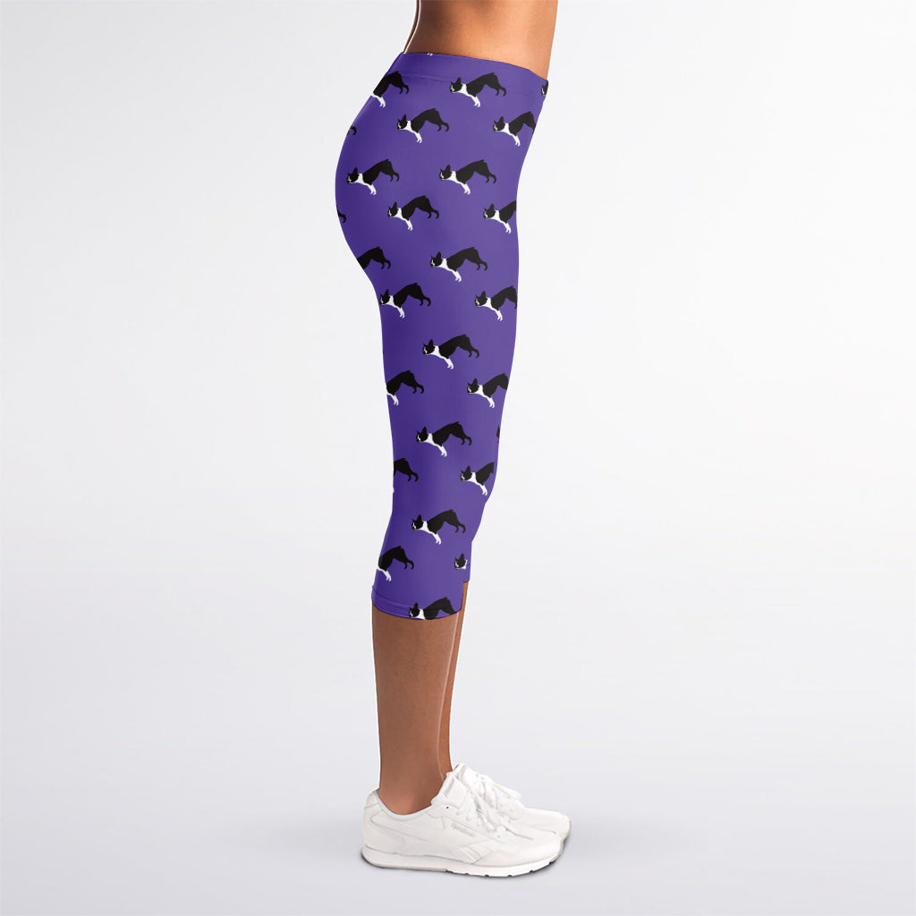 Purple Boston Terrier Pattern Print Women's Capri Leggings
