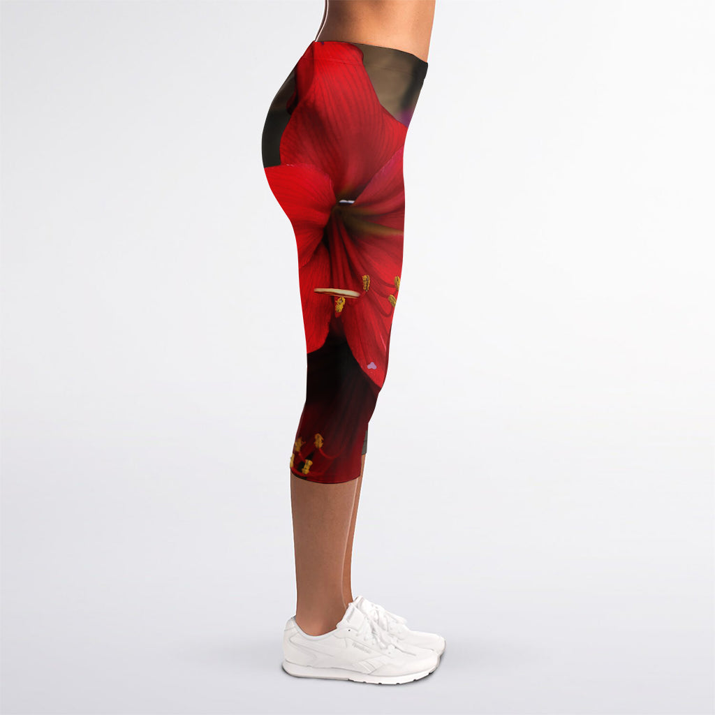 Red Amaryllis Print Women's Capri Leggings