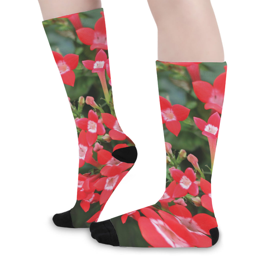 Red Bouvardia Print Long Socks