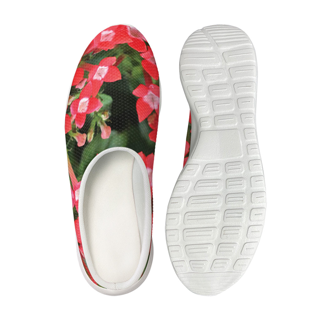 Red Bouvardia Print Mesh Casual Shoes