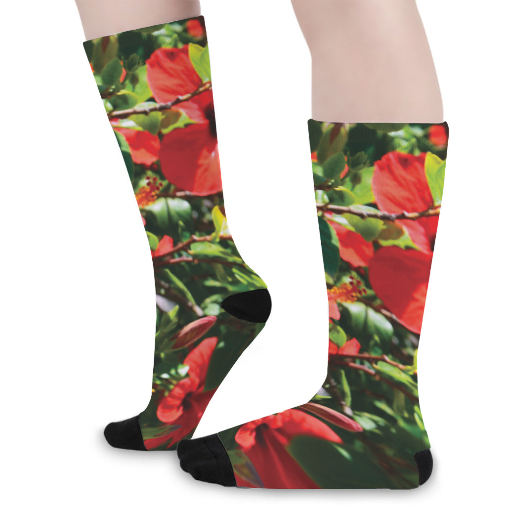 Red Hibiscus Flowers Print Long Socks