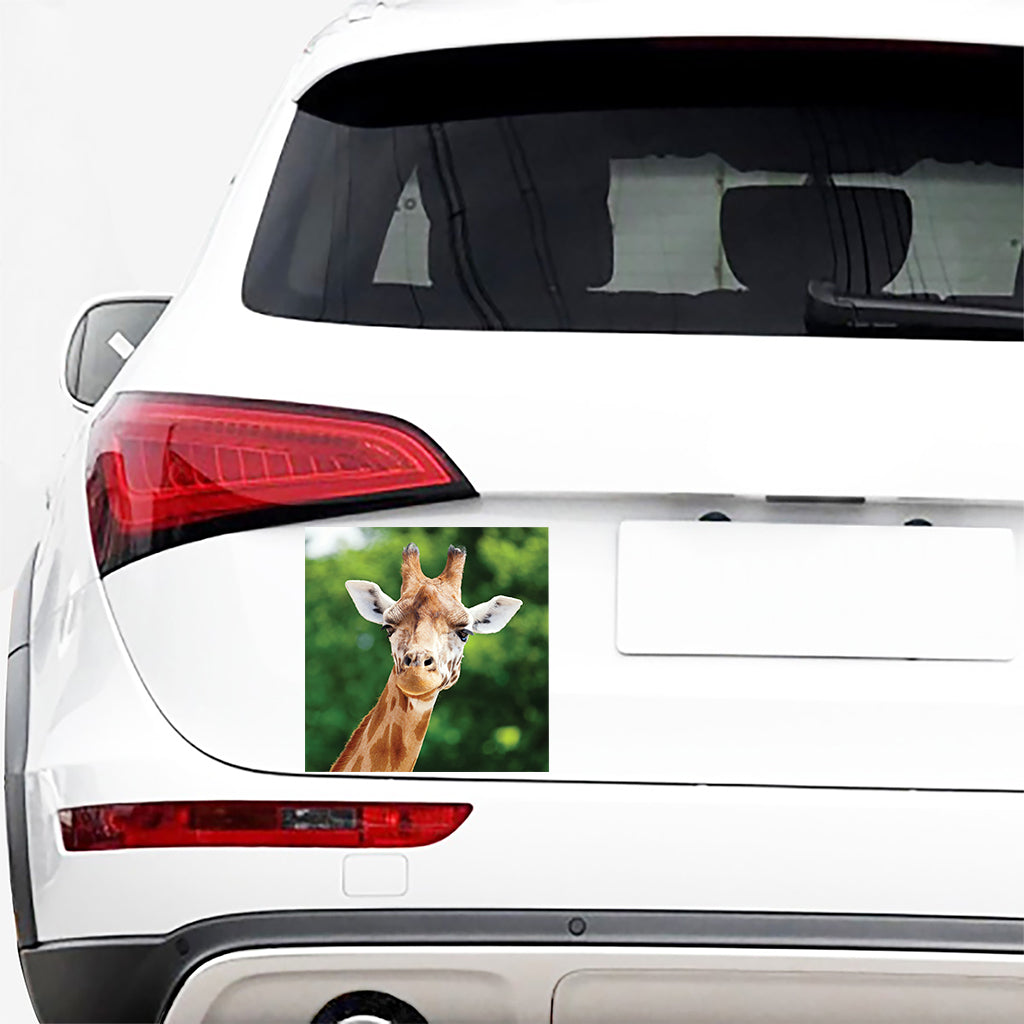 Smiley Face Giraffe Print Car Sticker