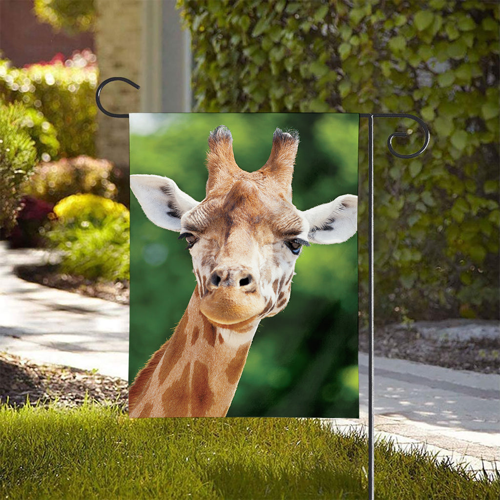 Smiley Face Giraffe Print House Flag