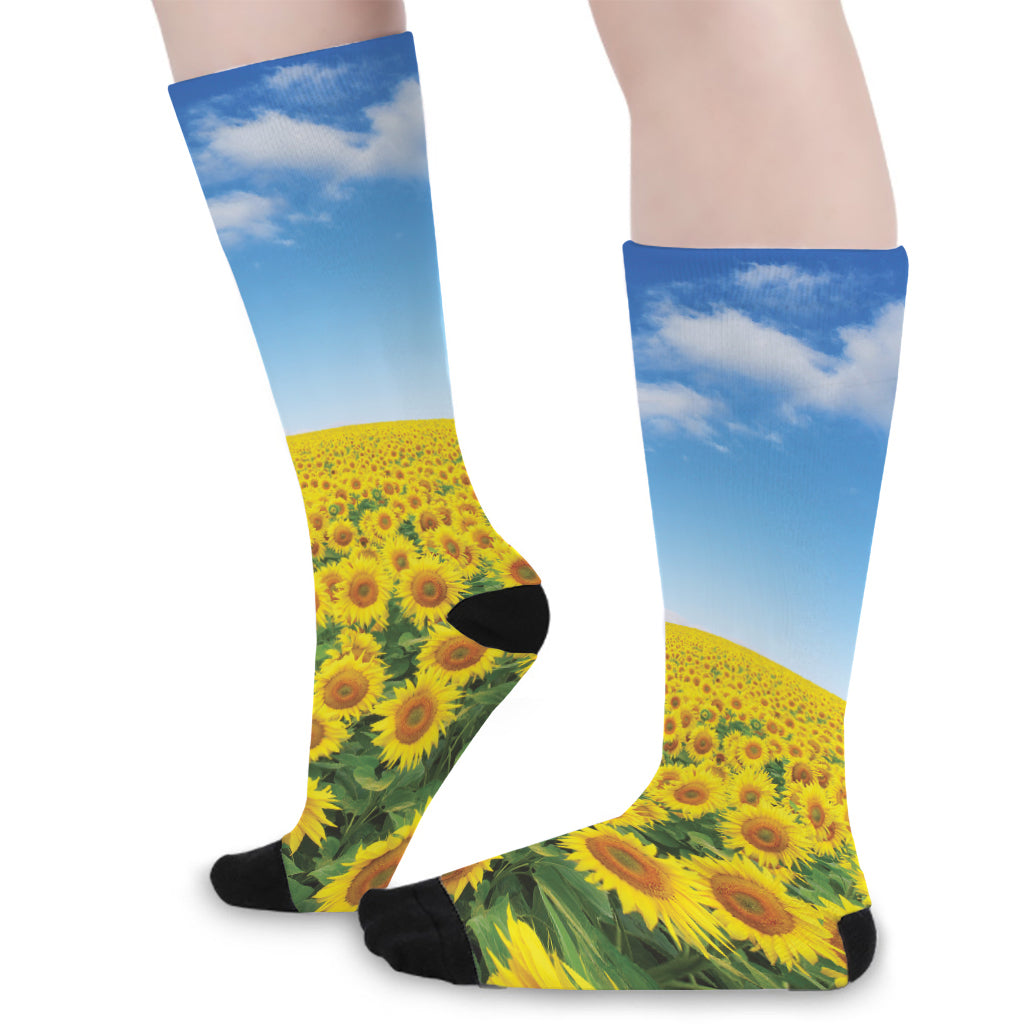 Sunflower Field Print Long Socks