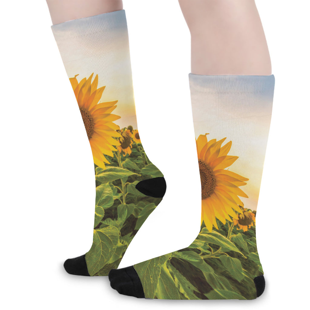 Sunflower Landscape Print Long Socks