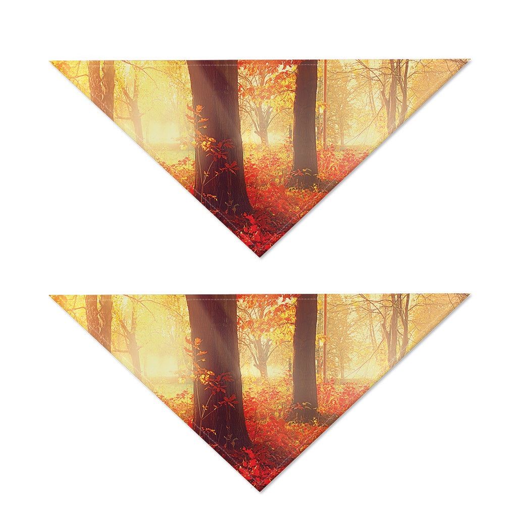 Sunshine Autumn Tree Print Dog Bandana