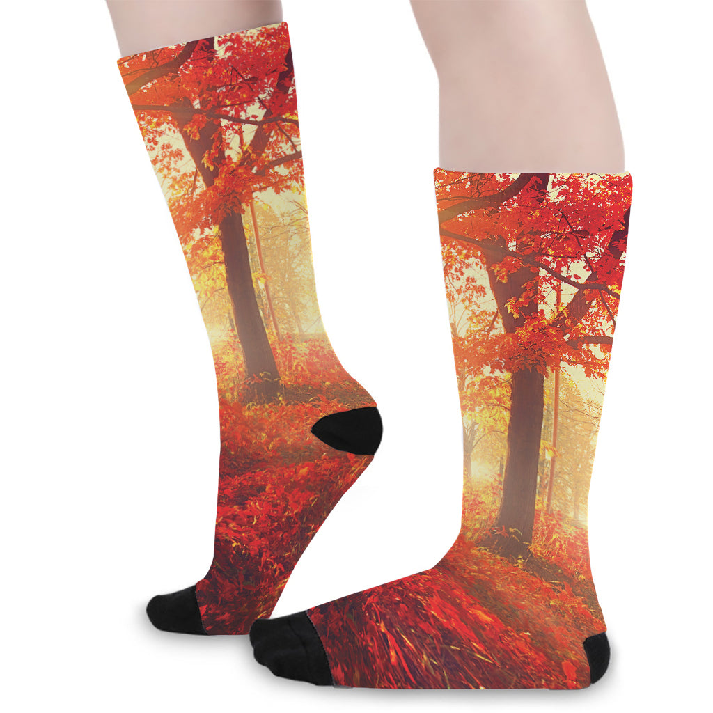 Sunshine Autumn Tree Print Long Socks
