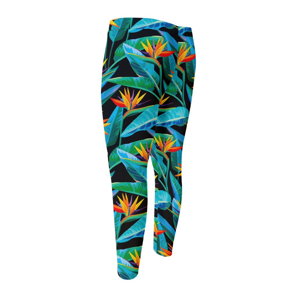 Teal Tropical Pattern Print Men's Compression Pants